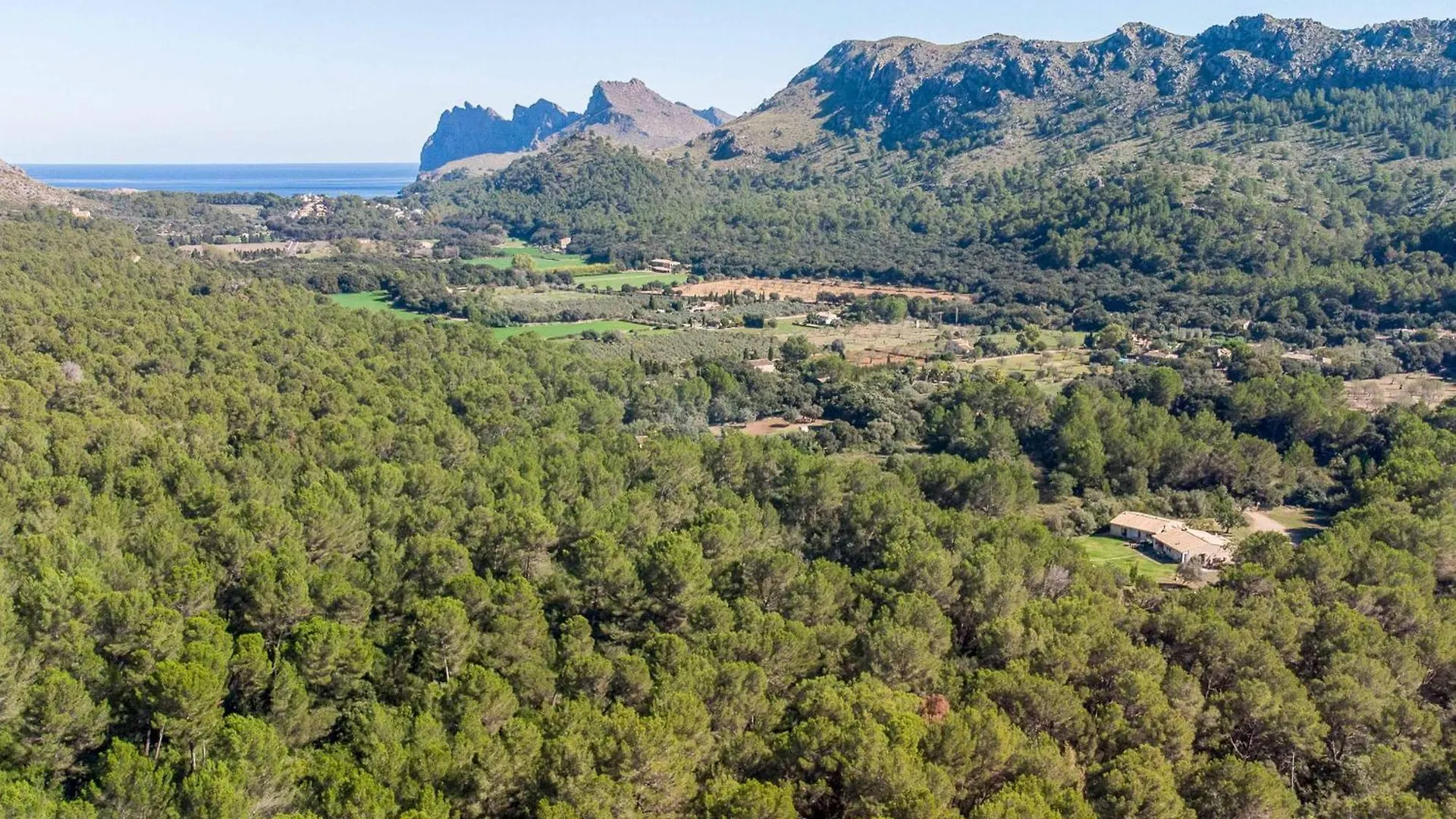 Villa L Esplai Cala de Sant Vicenc Spanien